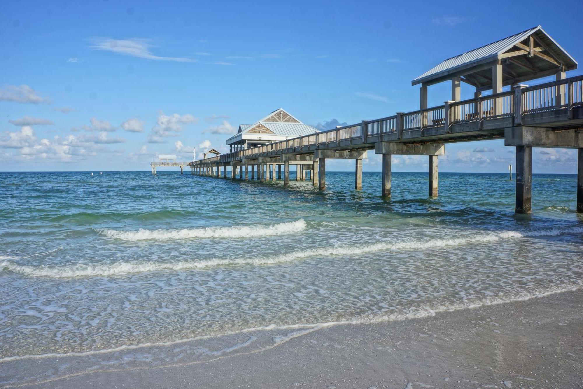 Tropical Paradise Clearwater Beach Pokoj fotografie