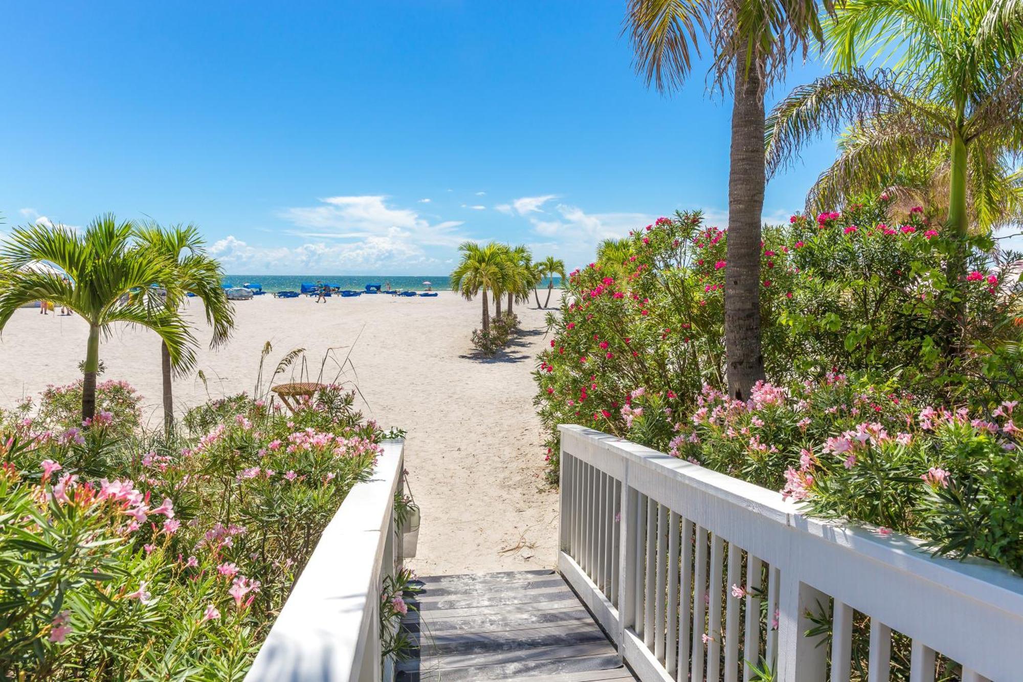 Tropical Paradise Clearwater Beach Pokoj fotografie
